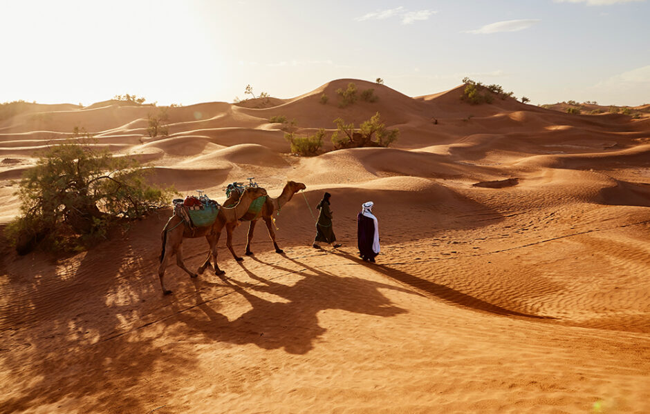 GeoHolidays  Agence de Voyages située à Marrakech